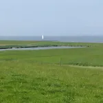 Linus By Interhome